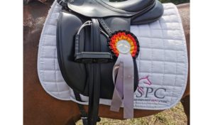 Reitsport SPC News
