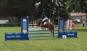 Reitsport SPC News