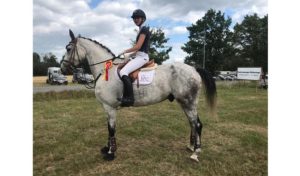 Reitsport SPC News