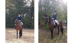 Reitsport SPC News