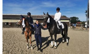 Reitsport SPC News
