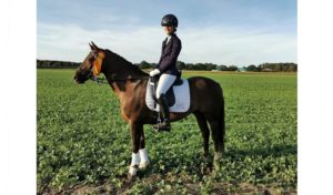 Reitsport SPC News