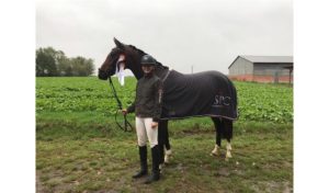 Reitsport SPC News
