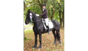 Reitsport SPC News