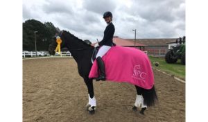 Reitsport SPC News