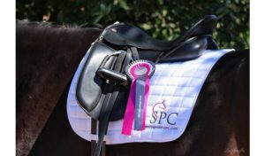 Reitsport SPC News