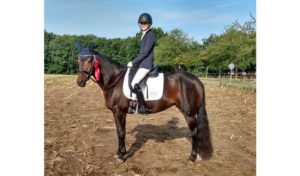 Reitsport SPC News