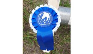 Reitsport SPC News