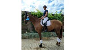 Reitsport SPC News